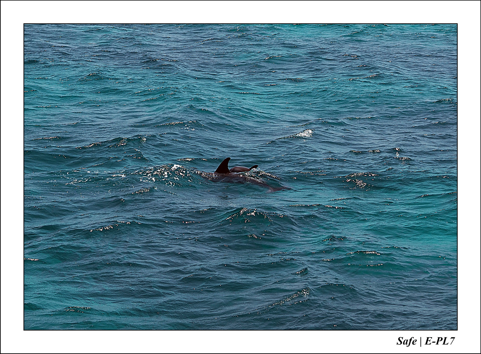 Hurghada - Juillet 2021 - 018